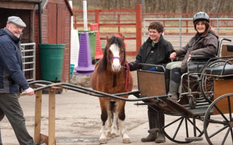 3 people, a pony and a two wheeled carriage